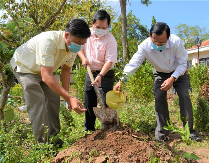 Hiệp Hội doanh nghiệp tỉnh trao tặng 1000 cây vú sữa giống và trồng cây vú sữa lưu niệm trong khuôn viên Phủ Thờ Bác (xã Trí Lực, huyện Thới Bình). Ảnh: Huỳnh Anh - TTXVN Tạo môi trường xanh - sạch nơi quê hương “cây vú sữa miền Nam” được gửi tặng Bác ảnh 2