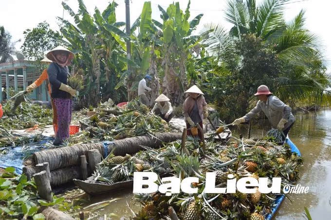 Bạc Liêu thực hiện tốt an sinh xã hội, tạo nền tảng bền vững phát triển kinh tế ảnh 1