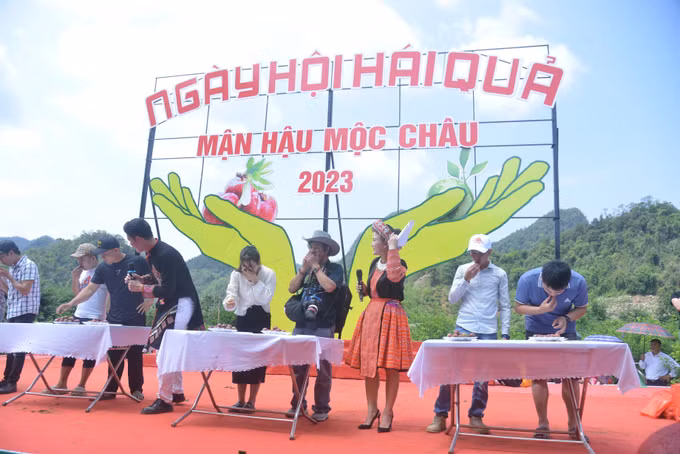 Sôi động Ngày hội hái quả mận hậu năm 2023 ảnh 7