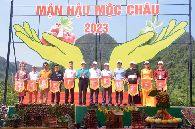 Sôi động Ngày hội hái quả mận hậu năm 2023 ảnh 4