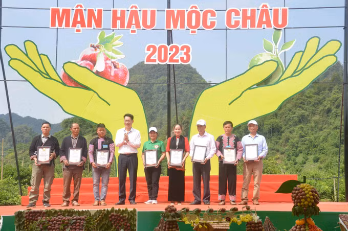 Sôi động Ngày hội hái quả mận hậu năm 2023 ảnh 5