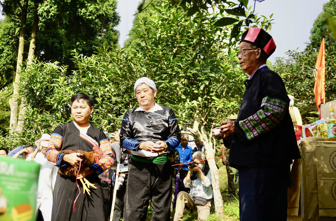 Chủ lễ thực hiện lễ cúng cây chè Tổ. Ảnh: Hoàng Tâm Lễ hội Tôn vinh cây chè Tổ Suối Giàng ảnh 9