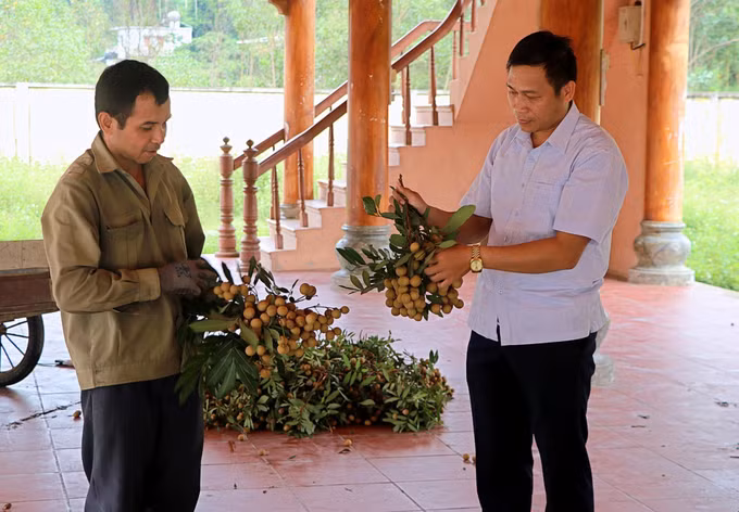 Tìm đầu ra ổn định cho nhãn Sơn Thủy ảnh 1