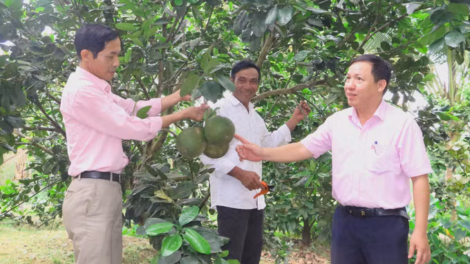 Năm 2023, Chương trình mục tiêu quốc gia giảm nghèo bền vững được trung ương phân bổ vốn tăng 47% ảnh 1