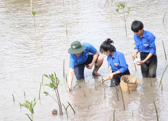 Hoạt động không chỉ góp phần nâng cao ý thức cho các thế hệ thanh niên địa phương cùng chung tay bảo vệ rừng mà còn giúp nâng cao khả năng thích ứng cho địa phương trong điều kiện biến đổi khí hậu ngày càng gay gắt như hiện nay. Ảnh: Huỳnh Anh - TTXVN Phó Chủ tịch nước Võ Thị Ánh Xuân dự Lễ ra quân Chiến dịch Thanh niên tình nguyện hè năm 2023 ảnh 7