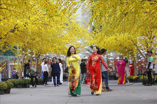 Rộn ràng sắc Xuân trên đường phố tại Thành phố Hồ Chí Minh. Ảnh: TTXVN Muôn sắc hoa chào đón Xuân Tân Sửu ảnh 5