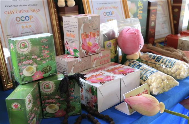 Tỉnh Đồng Tháp có nhiều sản phẩm từ sen (chủ yếu là thực phẩm). Ảnh: Chương Đài - TTXVN Gia tăng chuỗi giá trị cây sen nơi đất sen hồng ảnh 2
