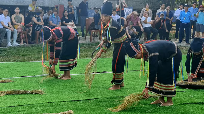 Tái hiện Lễ mừng lúa mới của đồng bào Gia Rai ảnh 2