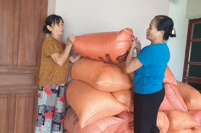 Sớm ổn định cuộc sống người dân bị thiệt hại do mưa lớn tại Nghệ An ảnh 2