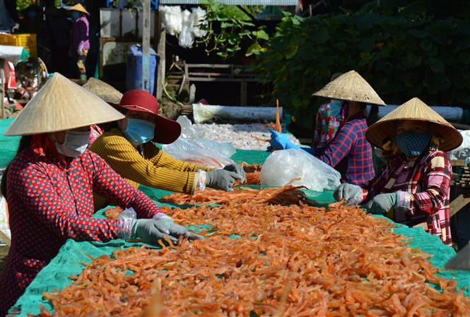 Khô cá lóc sợi - sản phẩm mới của Làng khô Phú Thọ đang được thị trường ưa chuộng. Ảnh: Nhựt An - TTXVN Làng cá khô Phú Thọ rộn ràng vụ Tết ảnh 1