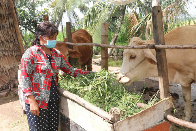 Gia đình chị Sơn Thị Út ở ấp Thanh Trì B, xã Đa Lộc, huyện Châu Thành(Trà Vinh) thoát nghèo nhờ được Nhà nước hỗ trợ vốn vay ưu đãi để xây nhà và hỗ trợ sinh kế. Ảnh: Thanh Hòa - TTXVN Trà Vinh thực hiện mục tiêu giảm nghèo đa chiều bền vững ảnh 1