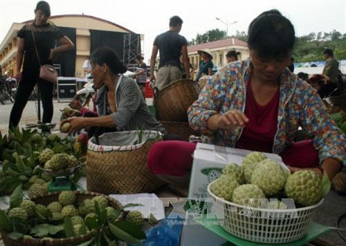 Lạng Sơn tổ chức Ngày hội Na Chi Lăng lần thứ nhất năm 2017 ảnh 1