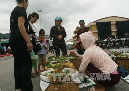 Lạng Sơn tổ chức Ngày hội Na Chi Lăng lần thứ nhất năm 2017 ảnh 3