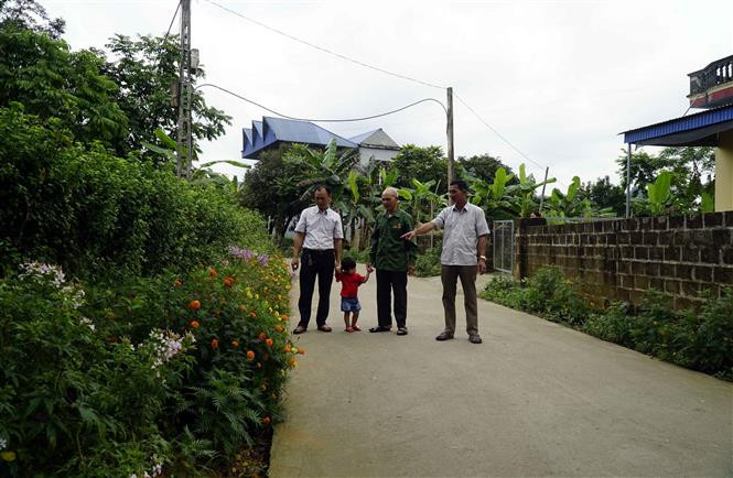 Ông Mã Phúc Hương (ngoài cùng bên phải ảnh) giới thiệu về đường hoa do ông vận động người dân trong thôn trồng. Ảnh: Vũ Quang - TTXVN Bí thư Chi bộ vùng cao Yên Sơn (Tuyên Quang) dân vận khéo ảnh 1