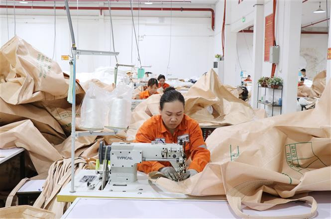 Dây chuyền sản xuất bao bì của Công ty may bao bì Anh Dương do Công ty cổ phần Masan High-Tech Materials hỗ trợ thành lập hiện đang tạo việc làm ổn định cho khoảng 150 lao động địa phương. Ảnh: Hoàng Nguyên - TTXVN Thái Nguyên phấn đấu trở thành trung tâm kinh tế công nghiệp hiện đại của khu vực phía Bắc ảnh 2
