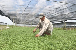 Giúp hộ nghèo, cận nghèo tiếp cận các dịch vụ xã hội cơ bản