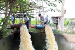 Nắng nóng kéo dài, nguy cơ khô hạn cục bộ tại vùng lúa Đắk Lắk