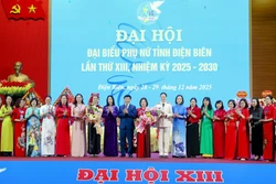 Đồng hành giúp phụ nữ dân tộc thiểu số phát triển sinh kế