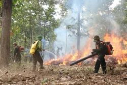 Đắk Lắk: Phòng cháy, chữa cháy rừng mùa khô