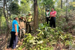 Điện Biên yêu cầu dừng ngay việc đốt nương thời gian cao điểm nắng nóng