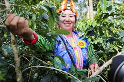 Điện Biên: Sôi nổi 'Ngày hội Cà phê gắn với du lịch sinh thái'