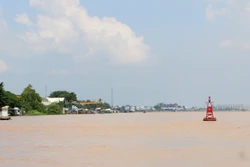 An Giang vận hành xả, điều tiết lũ cho vùng Tứ giác Long Xuyên