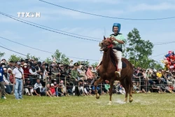 Kỵ mã thồ hàng tranh tài Hội đua ngựa truyền thống gò Thì Thùng