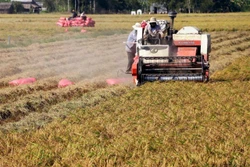 Lợi nhuận tăng thêm 1,5 triệu đồng/ha/vụ từ cơ giới hóa canh tác lúa