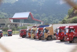 Bảo đảm tiến độ các dự án thuộc Đề án thí điểm xây dựng cửa khẩu thông minh tỉnh Lạng Sơn