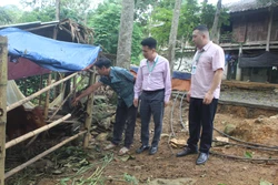 Vốn đúng chỗ, hộ nghèo vươn lên làm kinh tế giỏi