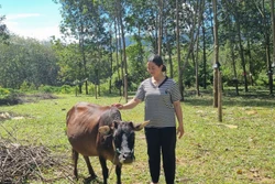 Dục Nông có thêm sinh kế thoát nghèo