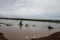 Đắk Lắk triển khai các giải pháp ứng phó với bão KALMAEGI