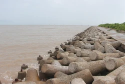 Cà Mau ứng phó với diễn biến sạt lở, sụt lún đất ven sông, ven biển