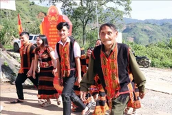 Những cánh tay nối dài đưa thông tin về bầu cử đến cơ sở