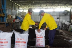 'Biến' rơm thành tiền