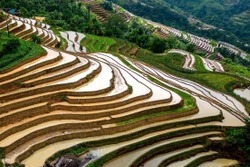 Khuổi My lấp lánh mùa nước đổ