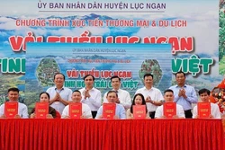 Bắc Giang: Xúc tiến tiêu thụ vải thiều huyện Lục Ngạn 2025