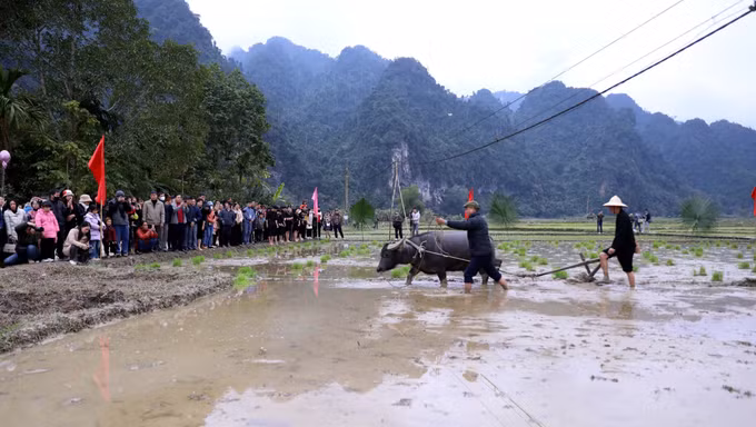 potal-dac-sac-le-hoi-long-tong-va-ngay-hoi-van-hoa-cac-dan-toc-huyen-lam-binh-7847183.jpg