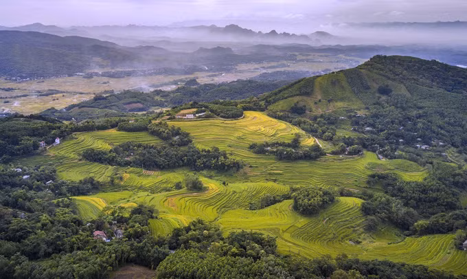 potal-hoa-binh-mua-lua-chin-tren-nhung-thua-ruong-bac-thang-mien-doi-7439443.jpg