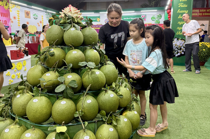 Du khách tham quan, tìm hiểu về đặc sản bưởi đường lá cam Tân Triều của xã Tân Bình, huyện Vĩnh Cửu, tỉnh Đồng Nai. Ảnh: Lê Xuân-TTXVN potal-dong-nai-to-chuc-le-hoi-huong-buoi-tan-trieu-7811119.jpg