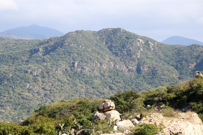 Một góc rừng thuộc Vườn quốc gia Núi Chúa (Ninh Hải, Ninh Thuận). Ảnh: Nguyễn Thành – TTXVN potal-ninh-thuan-uu-tien-bao-ton-da-dang-sinh-hoc-7953556.jpg
