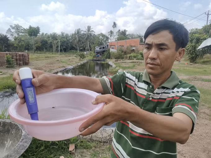 potal-nong-dan-ben-tre-don-tet-khong-quen-ung-pho-han-man-7832880.jpg