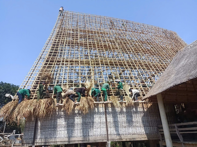 Lợp mái nhà rông. Ảnh: Hồng Điệp - TTXVN potal-thay-ao-moi-cho-nha-rong-kon-so-lal-gia-lai-7971071.jpg