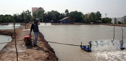 Đầm tôm của tỷ phú trẻ Lâm Văn Linh ở ấp Biển Đông, xã Vĩnh Trạch Đông, thành phố Bạc Liêu.