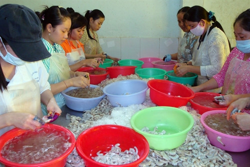 Tỉnh Bạc Liêu đã mở các lớp đào tạo nghề chế biến thủy sản, gópphần tạocông ăn việc làm ổn định cho bà con.