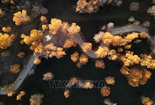 Du khách chiêm ngưỡng hàng cây lá phong đỏ tại Hàm Đan, tỉnh Hà Bắc, Trung Quốc. Ảnh: THX/TTXVN. Hoa cúc khoe sắc tại triển lãm hoa quốc tế Bắc Kinh, Trung Quốc. Ảnh: THX/ TTXVN Hoa cúc nở rộ tại Bắc Kinh, Trung Quốc. Ảnh: THX/TTXVN Người dân thăm triển lãm hoa quốc tế Bắc Kinh, Trung Quốc. Ảnh: THX/TTXVN Cảnh sắc mùa thu tại Tửu Tuyền, tỉnh Cam Túc, miền Tây Bắc Trung Quốc. Ảnh: THX/TTXVN Du khách chiêm ngưỡng cảnh đẹp tại Tửu Tuyền, tỉnh Cam Túc, miền Tây Bắc Trung Quốc. Ảnh: THX/TTXVN Mùa thu vàng hấp dẫn du khách tại Tửu Tuyền, tỉnh Cam Túc, miền Tây Bắc Trung Quốc. Ảnh: THX/TTXVN Sắc màu thu tại Khu tự trị Nội Mông, miền Bắc Trung Quốc. Ảnh: THX/TTXVN phát Sắc màu thu tại Tế Nam, tỉnh Sơn Đông, Trung Quốc ngày 21/10/2019. Ảnh: THX/TTXVN phát Du khách chiêm ngưỡng hàng cây lá phong đỏ tại Hàm Đan, tỉnh Hà Bắc, Trung Quốc. Ảnh: THX/TTXVN. Hoa cúc khoe sắc tại triển lãm hoa quốc tế Bắc Kinh, Trung Quốc. Ảnh: THX/ TTXVN Hoa cúc nở rộ tại Bắc Kinh, Trung Quốc. Ảnh: THX/TTXVN Người dân thăm triển lãm hoa quốc tế Bắc Kinh, Trung Quốc. Ảnh: THX/TTXVN Cảnh sắc mùa thu tại Tửu Tuyền, tỉnh Cam Túc, miền Tây Bắc Trung Quốc. Ảnh: THX/TTXVN Du khách chiêm ngưỡng cảnh đẹp tại Tửu Tuyền, tỉnh Cam Túc, miền Tây Bắc Trung Quốc. Ảnh: THX/TTXVN Mùa thu vàng hấp dẫn du khách tại Tửu Tuyền, tỉnh Cam Túc, miền Tây Bắc Trung Quốc. Ảnh: THX/TTXVN Sắc màu thu tại Khu tự trị Nội Mông, miền Bắc Trung Quốc. Ảnh: THX/TTXVN phát Sắc màu thu tại Tế Nam, tỉnh Sơn Đông, Trung Quốc ngày 21/10/2019. Ảnh: THX/TTXVN phát