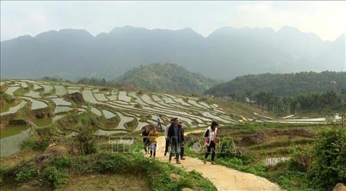 Khu vực ruộng bậc thang để trồng lúa của người dân huyện miền núi Bá Thước, tỉnh Thanh Hóa. Ảnh: Nguyễn Nam-TTXVN