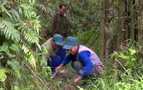 Đường ống dẫn nước được lắp đặt để cung cấp nước cho ruộng lúa của người dân huyện miền núi Bá Thước, tỉnh Thanh Hóa. Ảnh: Nguyễn Nam-TTXVN