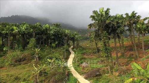 Nhiều tuyến đường giao thông nông thôn của xã Thành Lâm, huyện miền núi Bá Thước đã được bê tông hóa. Ảnh: Nguyễn Nam-TTXVN