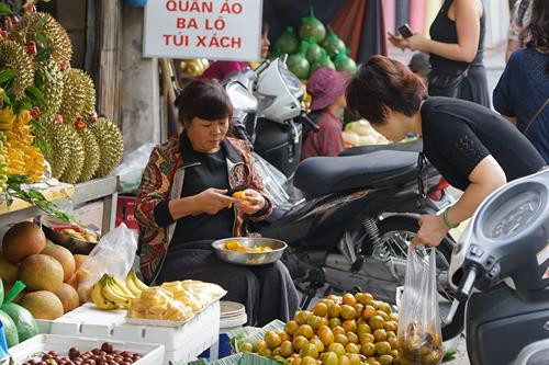 Đề án nêu rõ, quản lý hệ thống cửa hàng kinh doanh trái cây trên các tuyến phố và khu dân cư thuộc các quận nội thành Thành phố Hà Nội. Hà Nội sẽ tăng cường kiểm tra, kiểm soát và xử lý nghiêm các hành vi vi phạm, không chấp hành quy định pháp luật trong hoạt động kinh doanh trái cây và xóa bỏ các điểm kinh doanh lấn chiếm vỉa hè, lòng đường... Hà Nội sẽ tăng cường kiểm tra, kiểm soát và xử lý nghiêm các hành vi vi phạm, không chấp hành quy định pháp luật trong hoạt động kinh doanh trái cây và xóa bỏ các điểm kinh doanh lấn chiếm vỉa hè, lòng đường...